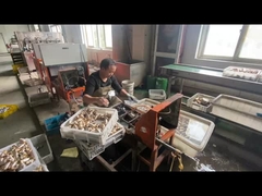 ODM Messing-Gasrohr-Abschlussklappe mit blauer Handgelenkfarbe